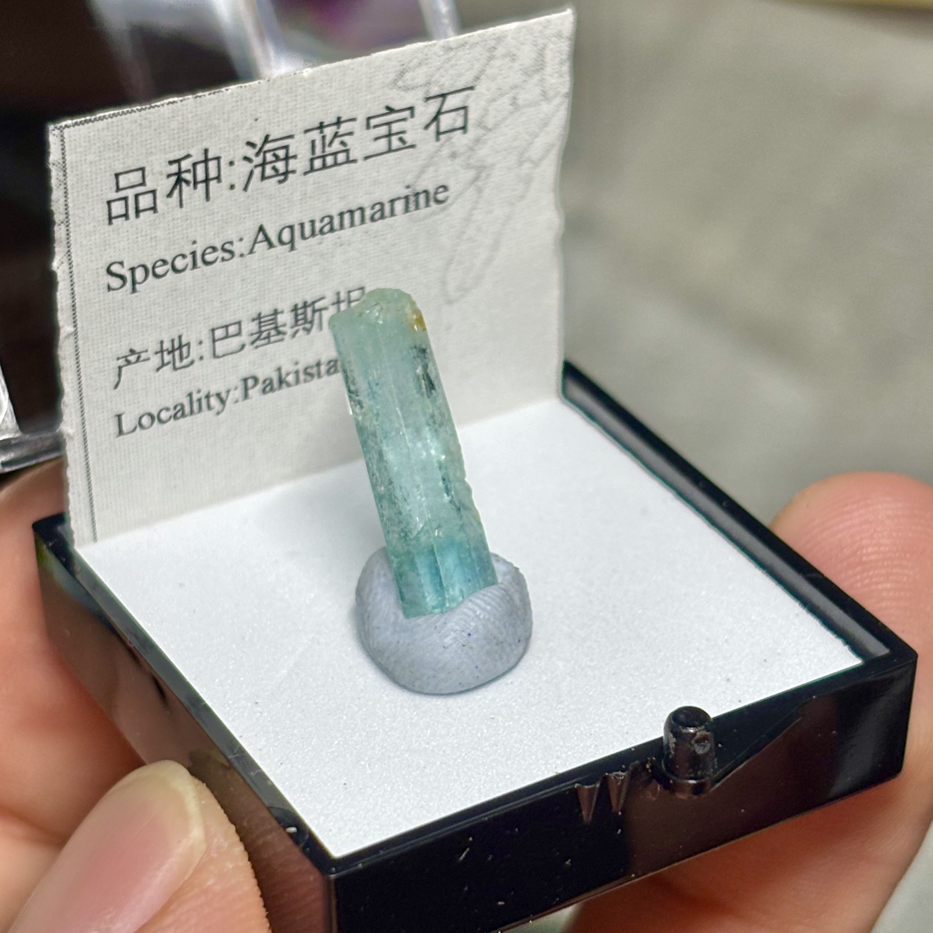绿柱石海蓝宝石祖母绿原石天然矿物晶体标本盒子猫矿石能量宝晶石