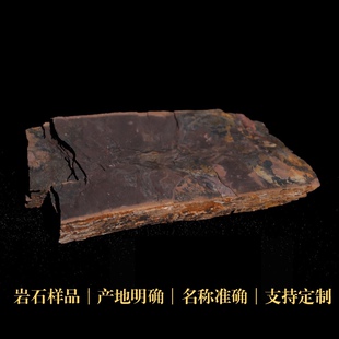 页岩沉积岩石三大岩样品标本矿物科研地质中小学博物馆科普教具