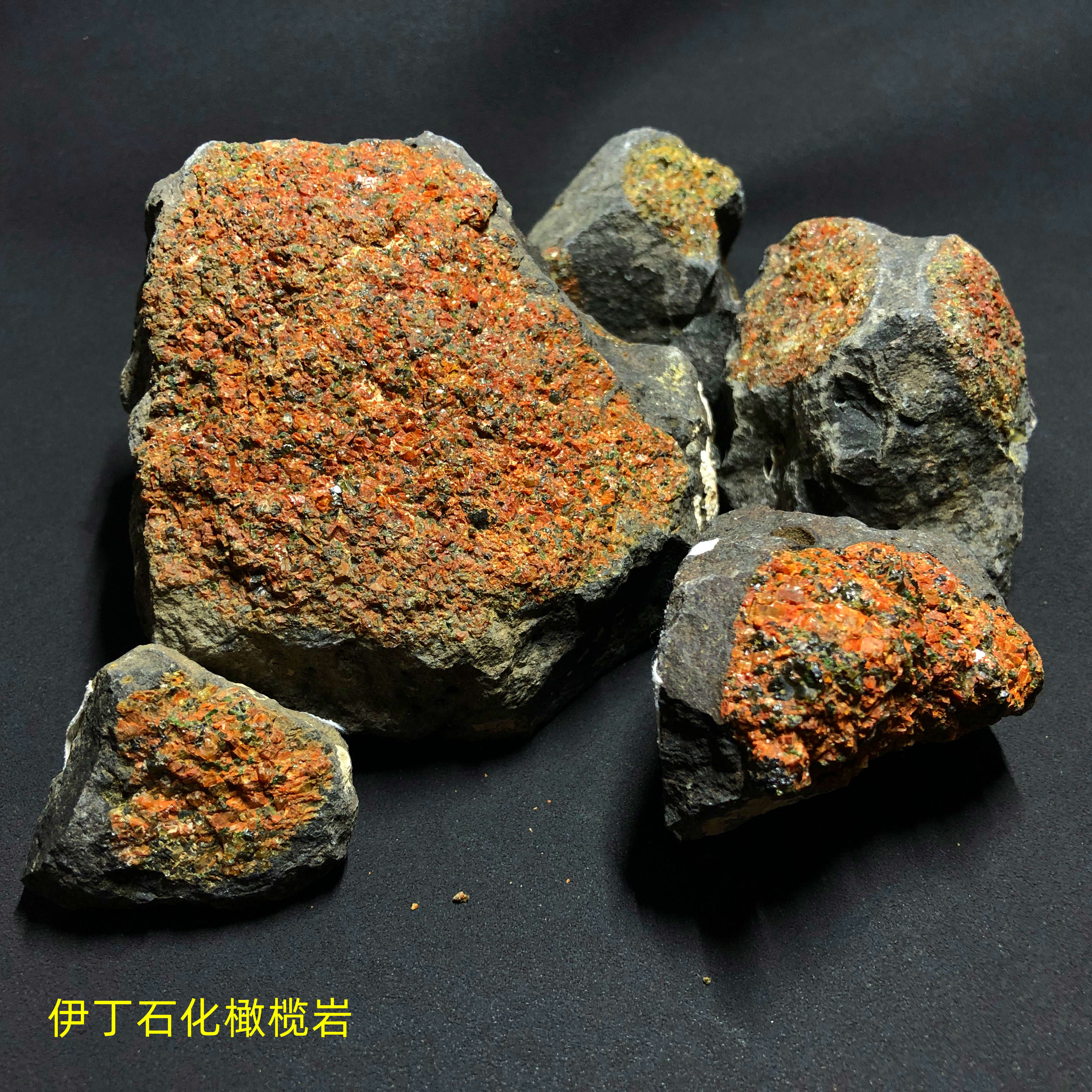 蚀变橄榄岩伊丁石化橄榄岩蛇纹石化橄榄岩碳酸盐化橄榄岩汉诺坝组