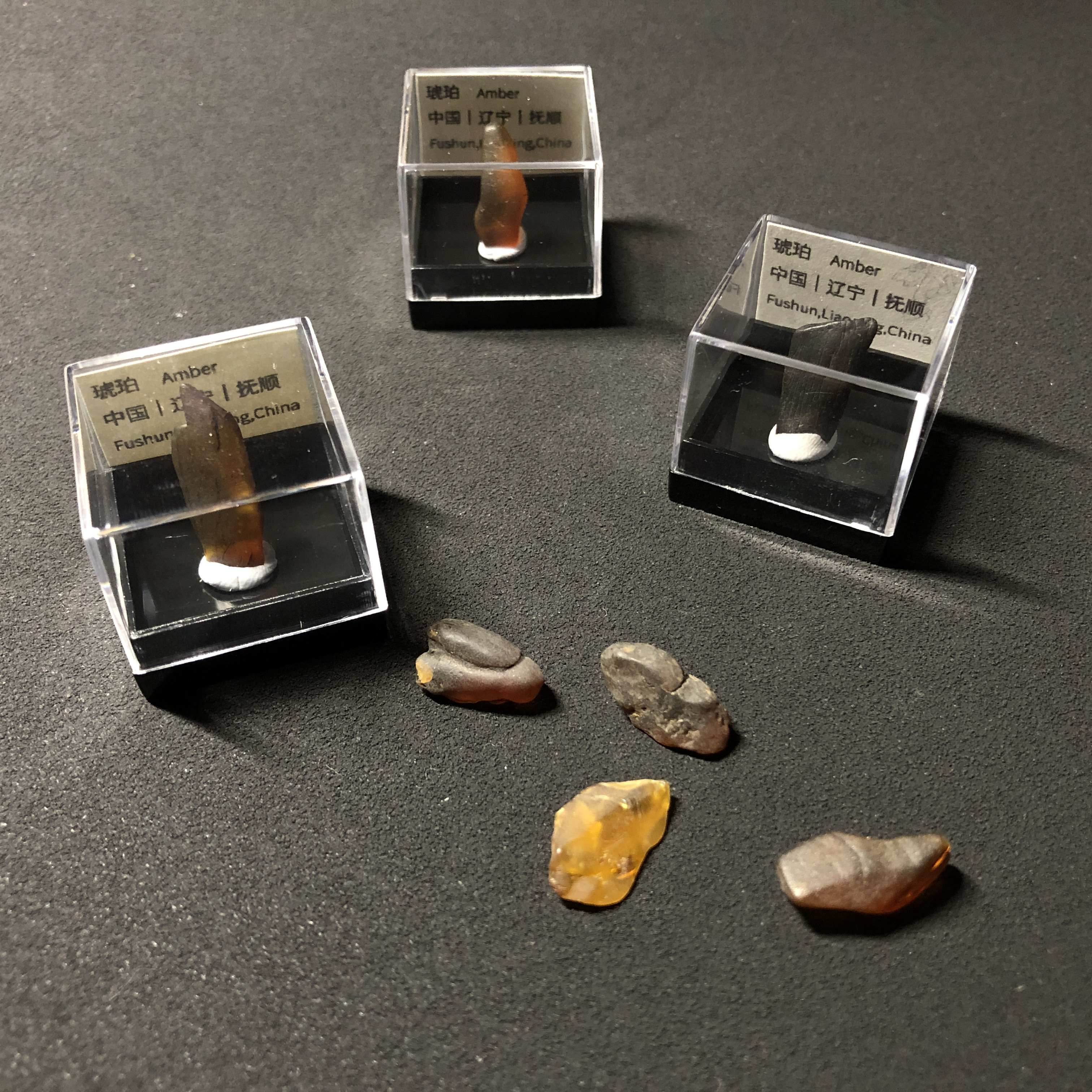 天然抚顺产地全皮琥珀老料矿珀原石西露天矿煤珀蜜蜡矿物晶体收藏