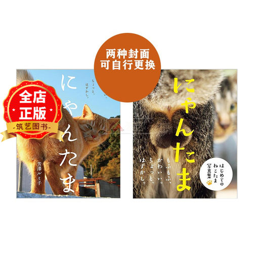 日版 少量现货】可爱卖萌 猫蛋蛋 公猫写真集 にゃんたま 芳澤 ルミ子 写真  猫咪摄影集9784426120993