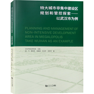 特大城市非集中建设区规划和管控探索-以武汉为例 城市规划设计与研究书籍