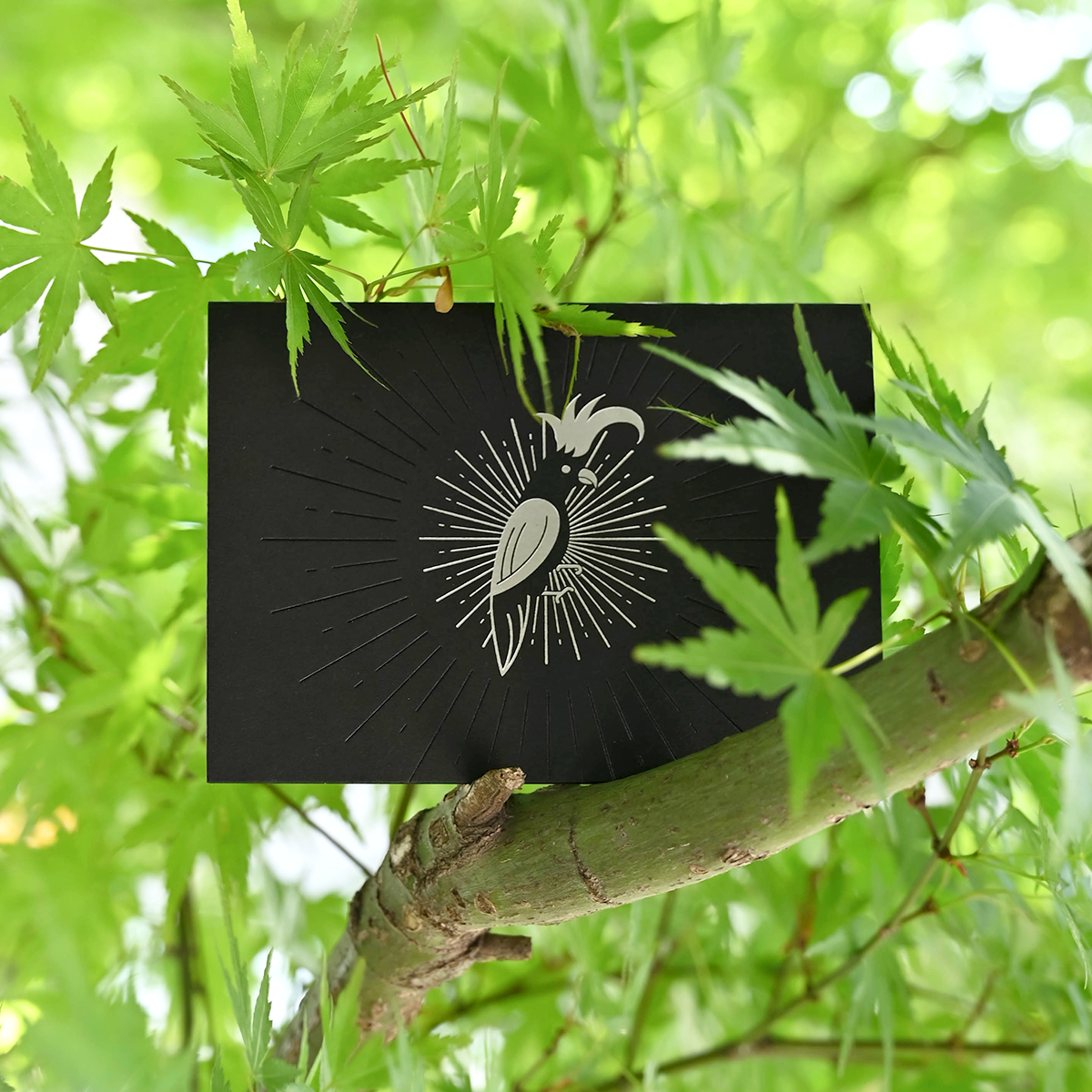 【现货】PaperPlay 黑色小鹿小鸟祝福贺卡/男女生情人节礼物,节庆用品/礼品,贺卡/卡片,淘宝优惠券,粉丝福利购,淘宝优惠卷