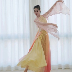 一左大左古典舞纱衣飘逸仙气舞蹈服中国舞雪纺练功服艺考演出服装