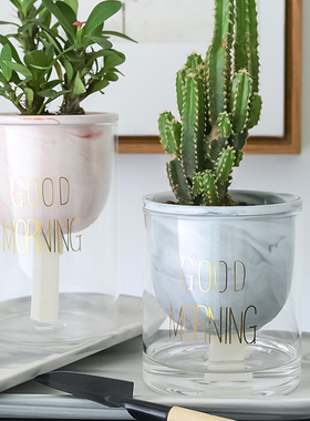 现代简约创意懒人自动吸水多肉花盆陶瓷绿箩玻璃水培花器Ins新款