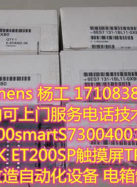 深圳siemens 6ES7131-1BL11-0XB0 6ES7 131-1BL12-0XB0 ET200L