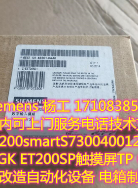 6ES7 131-4BB01/4BD01/4BF00/4BF50-0AA0/0AB0 西门子ET200S系列