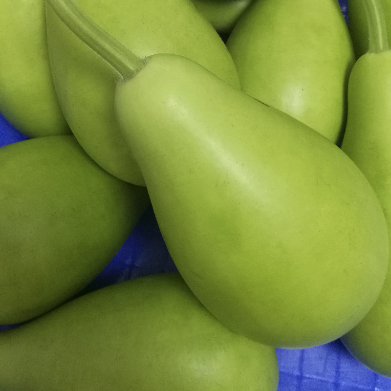 福建漳州菜葫芦瓜新鲜食用圆葫芦瓠子蒲瓜瓠瓜露天农家种植蔬菜