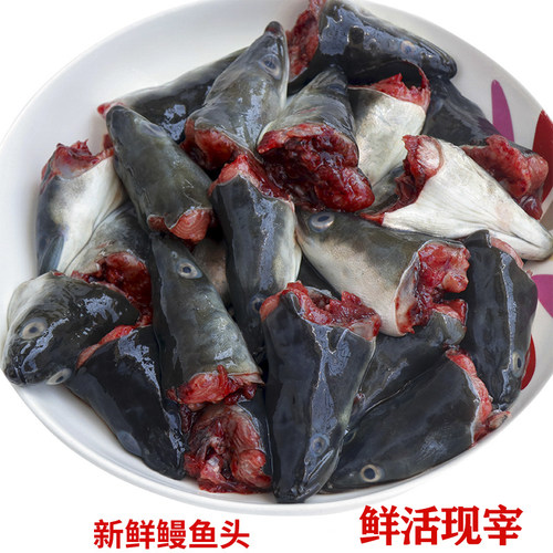 当天现杀新鲜鳗鱼头大个