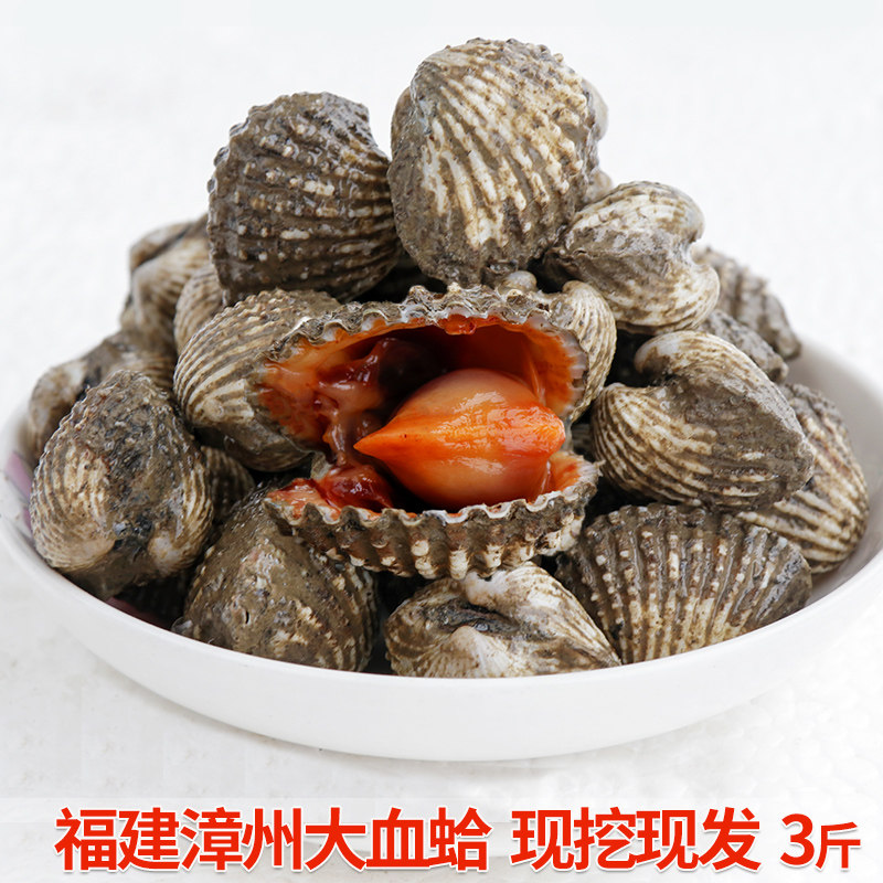 福建漳州闽南特产血蚶鲜活新鲜血青口贝