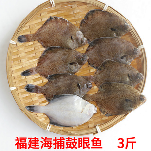 福建海鱼小鼓眼鱼新鲜高眼鱼蝶鱼偏口鱼豆鼓鱼比目鱼小嘴鱼牙片鱼