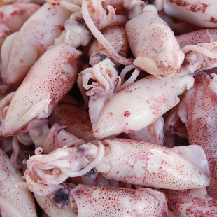 潮汕打冷鱼饭小鱿鱼饭熟鱼吹筒仔笔管鱼尔饭东山小管烧烤