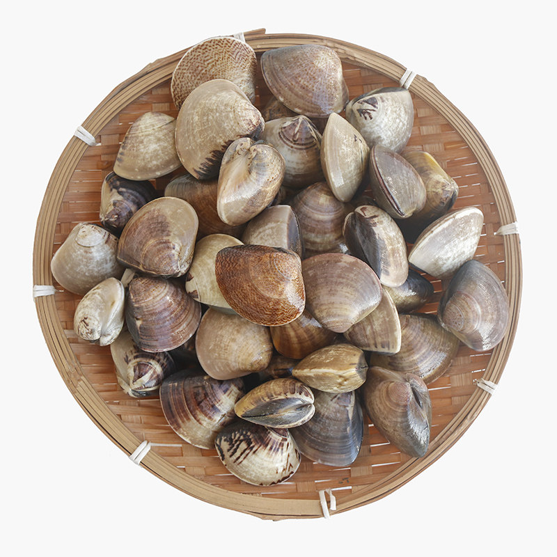 福建鲜活大文蛤蜊大花甲无沙美贝杂色蛤爆炒煮汤面配料花蛤贝壳,水产肉类/新鲜蔬果/熟食,青口贝,淘宝优惠券,粉丝福利购,淘宝优惠卷