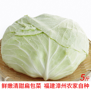 福建新鲜蔬菜老品种扁包包菜农家种植卷心菜莲花白甘蓝5斤包心菜