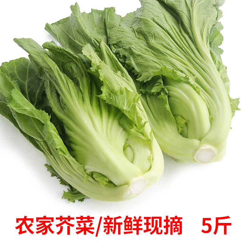 福建漳州农家露天芥菜新鲜大叶包心芥菜腌酸菜卷心芥菜做泡菜原料,水产肉类/新鲜蔬果/熟食,叶菜类,淘宝优惠券,粉丝福利购,淘宝优惠卷
