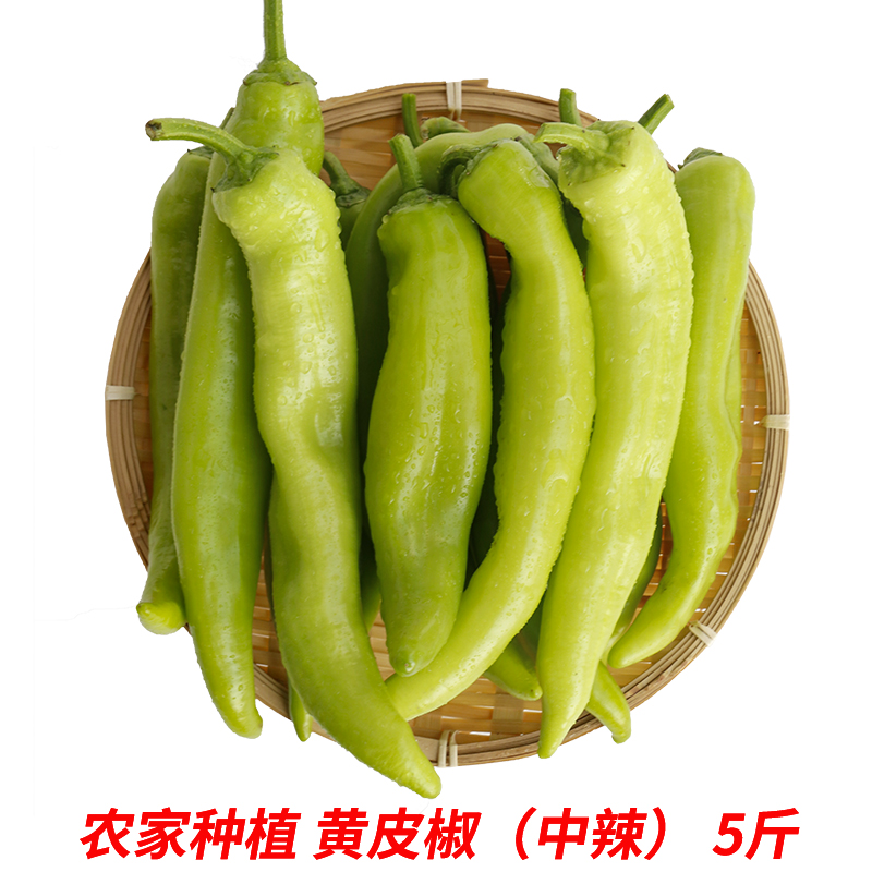 福建漳州农家种植薄皮黄皮尖椒新鲜虎皮青椒辣椒牛角椒羊角椒5斤