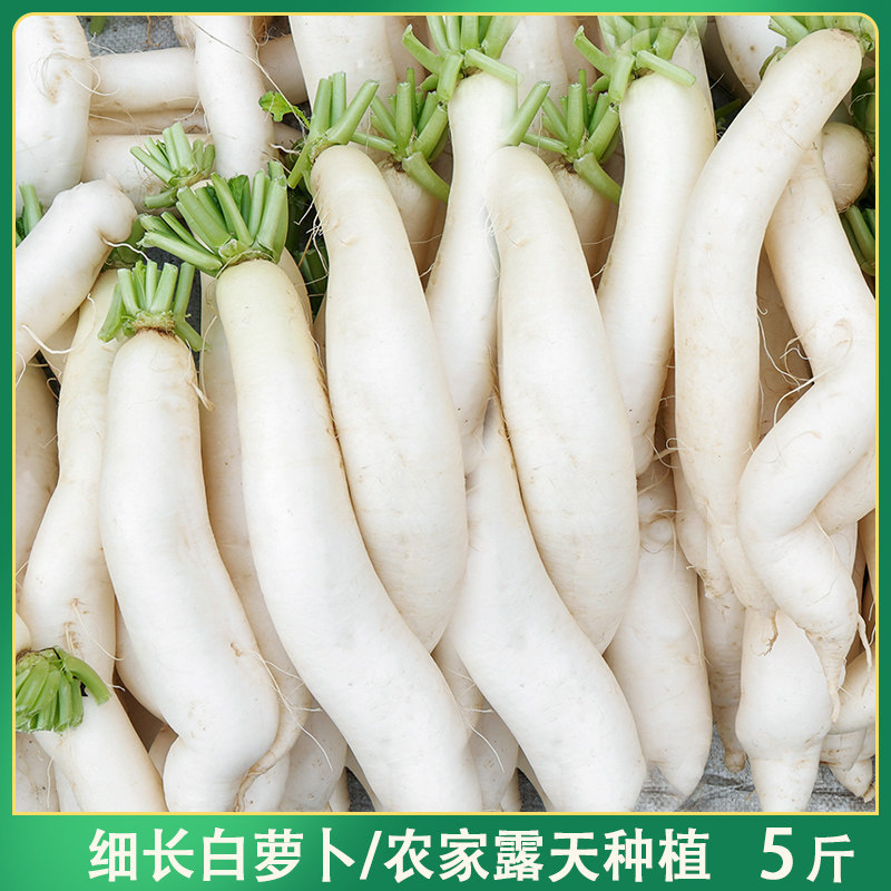 露天新鲜细长小白萝卜脆嫩爽口小萝卜农家自种应当季腌菜泡菜萝卜,水产肉类/新鲜蔬果/熟食,萝卜/胡萝卜,淘宝优惠券,粉丝福利购,淘宝优惠卷