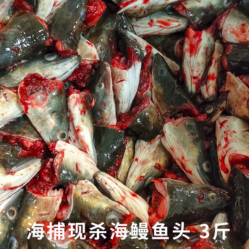 3斤包邮海鲜新鲜鳗鱼头乌耳鳗鲜活黑鳗鱼头潮汕特产白鳝头河鳗头怎么样,好用不?