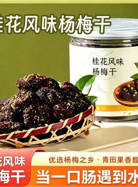 青田桂花杨梅干罐装陈皮微糖180g浙江特产伴手礼蜜饯果脯休闲零食