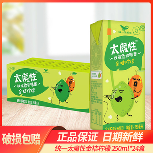 统一太魔性250ml*24盒饮料金桔柠檬风味饮品整箱批特价