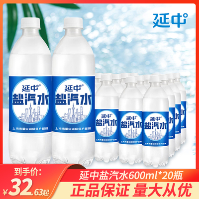 延中盐汽水600ml*20瓶