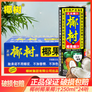 正宗椰树牌椰果椰汁250ml*24罐海南特产果汁饮品植物饮料整箱特价