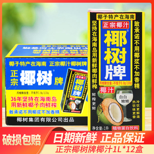 椰树牌椰汁1L*12盒整箱植物椰奶椰子汁饮料家宴聚餐饮品整箱包邮
