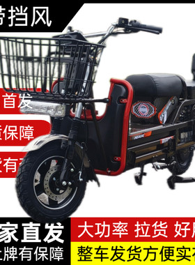 载重王电动车72V拉货外卖电瓶车两轮载货爬坡高速电摩