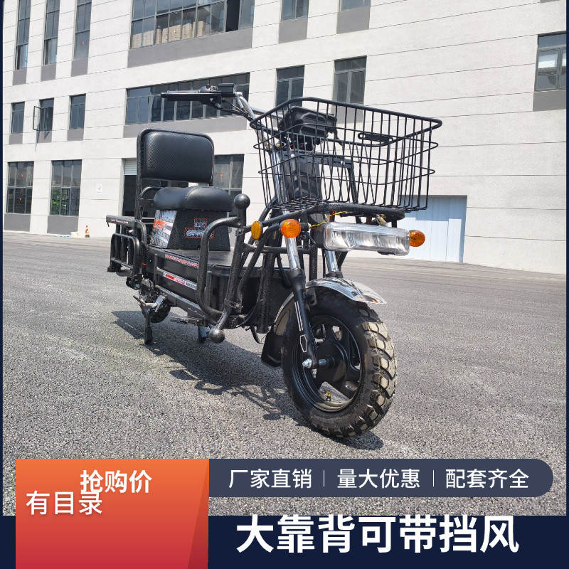 路霸载重王电动车60V72v电摩大力神外卖快递拉货爬坡王载货车
