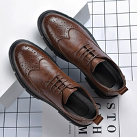 ZQF K2201 Brown Four Seasons Основная карта