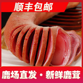 吉林梅花鲜鹿茸整枝切片新鲜含血正品 血片整只泡酒药材人参鹿茸片