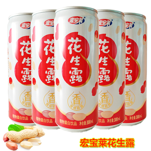24罐花生味早餐饮品营养植物蛋白饮料整箱 宏宝莱花生露300ml