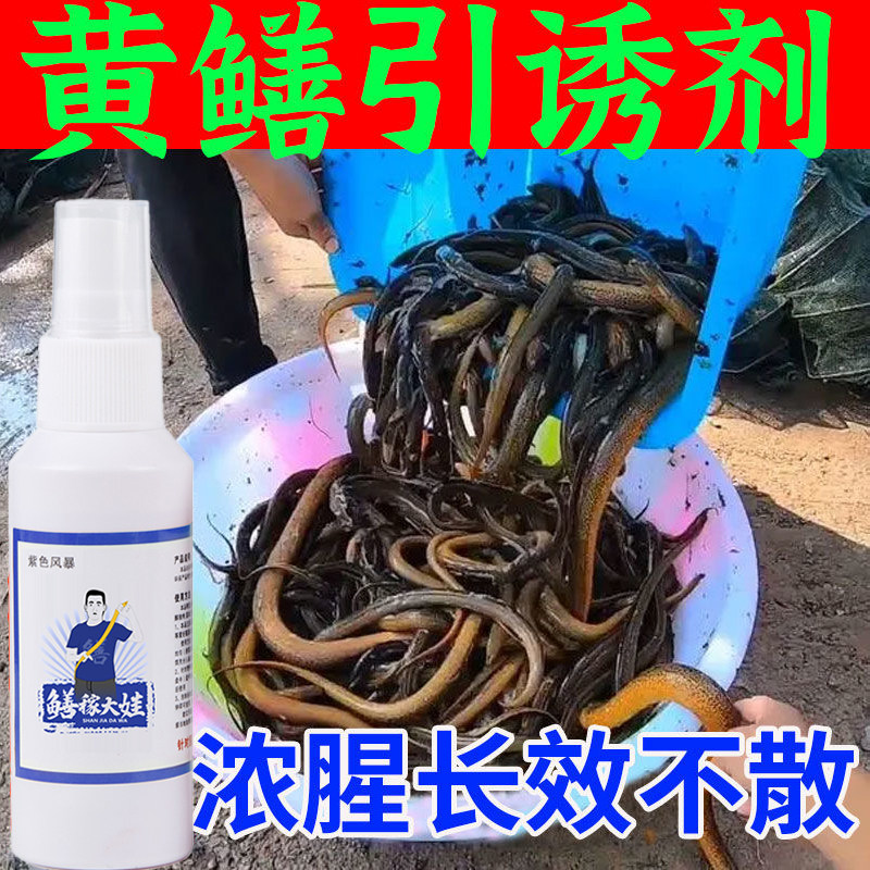 鳝家大娃诱黄鳝钓鱼小药饵料喷剂抓小龙虾泥鳅黄辣丁添加剂诱食剂