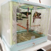 鸟笼防蚊网防溅网防撒食罩鸟笼防羽毛网罩达洋粤迪优嗖 支持定做