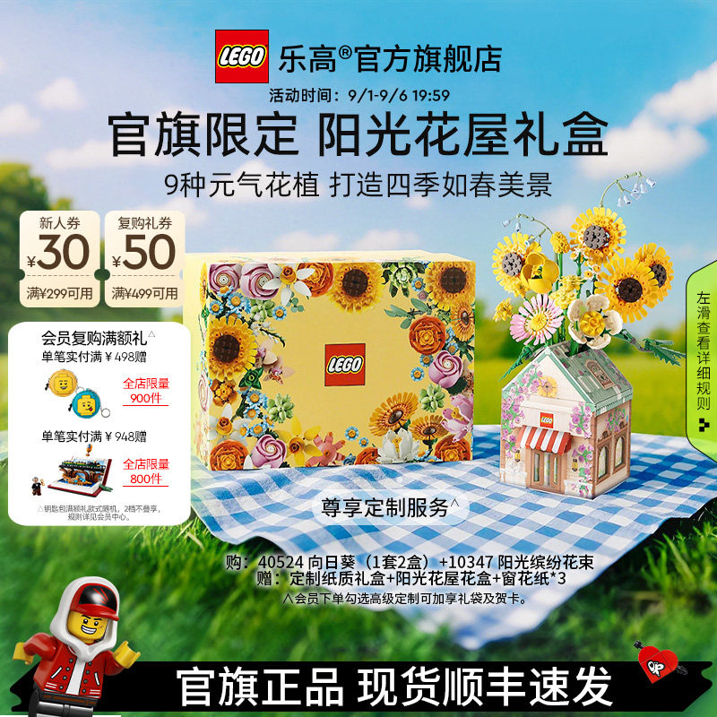 乐高阳光花屋礼盒永生花积木礼物图片