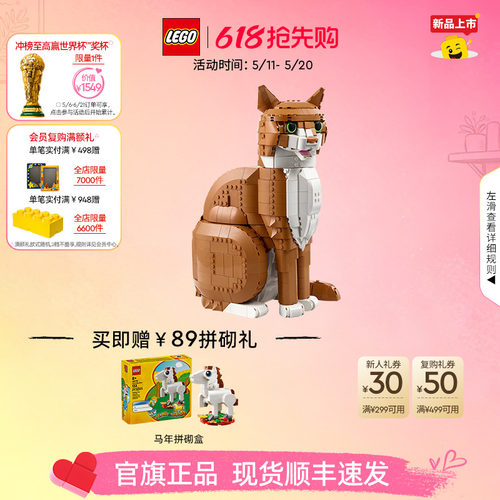 乐高21376橙色的猫积木玩具