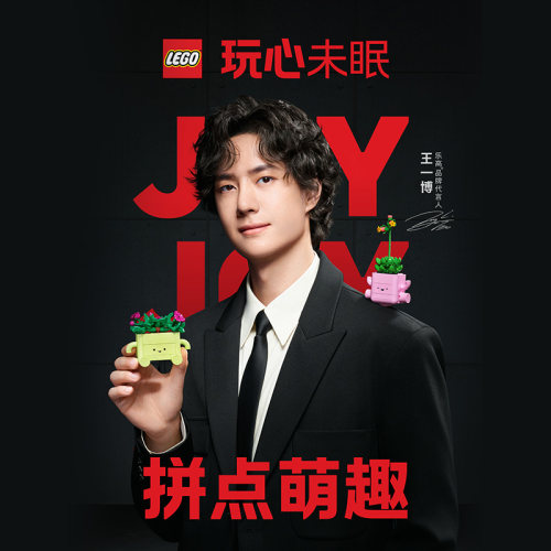 乐高11506摇滚盆栽积木