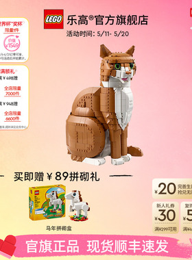 乐高官方旗舰店正品21376橙色的猫橘猫拼搭积木玩具摆件生日礼物