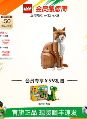 乐高官方旗舰店正品21376橙色的猫橘猫拼搭积木玩具摆件生日礼物