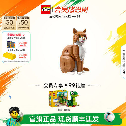 乐高21376橙色的猫积木玩具