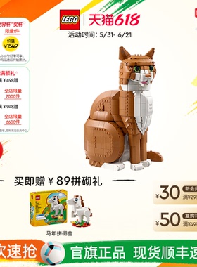 乐高官方旗舰店正品21376橙色的猫橘猫拼搭积木玩具摆件生日礼物
