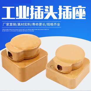 工业玻璃钢三相四线孔芯圆插头插座16A25A32A60A440V