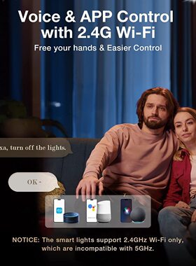 蓝牙吸顶灯遥控涂鸦APP智能灯兼容AlexaGoogle语音24W超薄三防灯