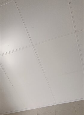 450x450铝扣板客厅卧室铝合金板材哑光白板凸板大方板简约中式顶