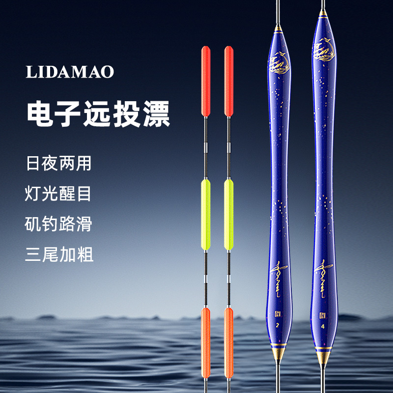 李大毛巴尔衫木日夜两用电子浮漂