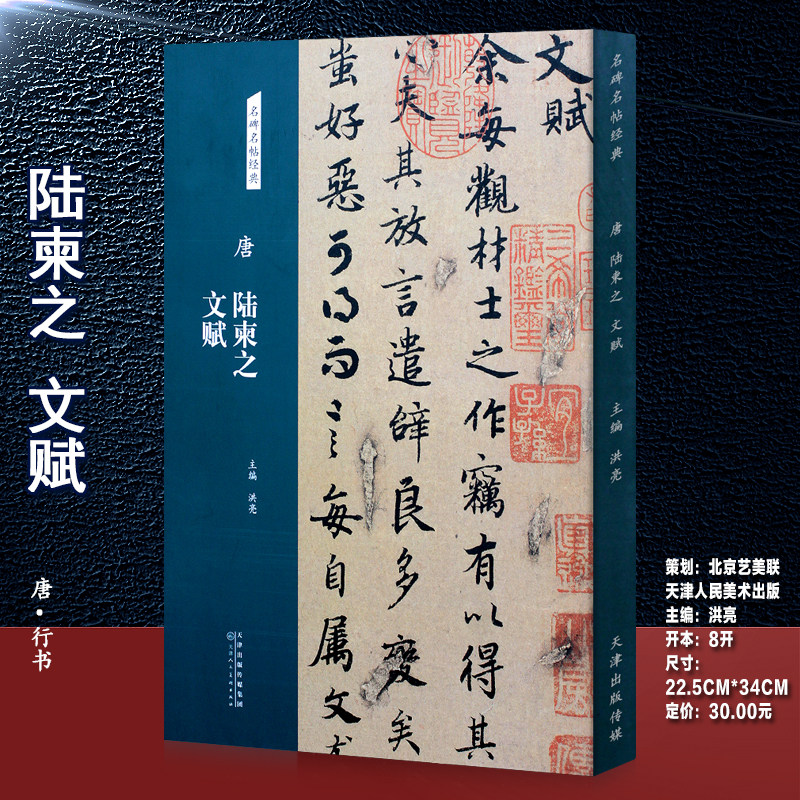 唐陆柬之文赋字帖名碑名帖经典行书字帖硬笔钢笔软笔毛笔书法练字临摹碑帖简体旁注行楷字体洪亮主编8开正版图书