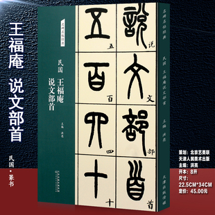 社正版 王福庵说文部首民国名碑名帖经典 简体旁注洪亮天津人民美术出版 篆书字帖书法初学者临摹篆刻石入门篆书毛笔书法练字帖 图书