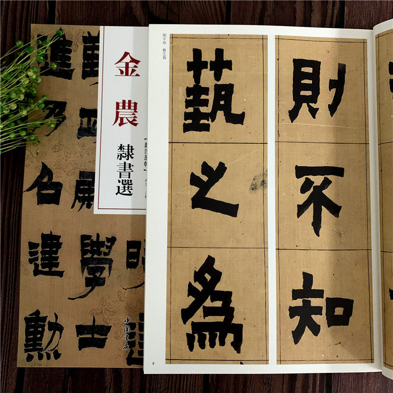 金农隶书选 毛笔软笔隶书临摹字帖附繁体旁注高清放大墨迹本 赵宏 主编 中国书店 清代隶书名家经典图片