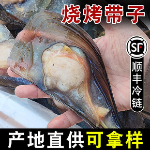 半壳带子新鲜速冻冷冻带子江瑶贝带鲜贝瑶柱饭店烧烤食材烧烤贝类