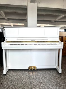 珠江里特米勒二手钢琴家用练习考级实木立式钢琴121准新2025琴